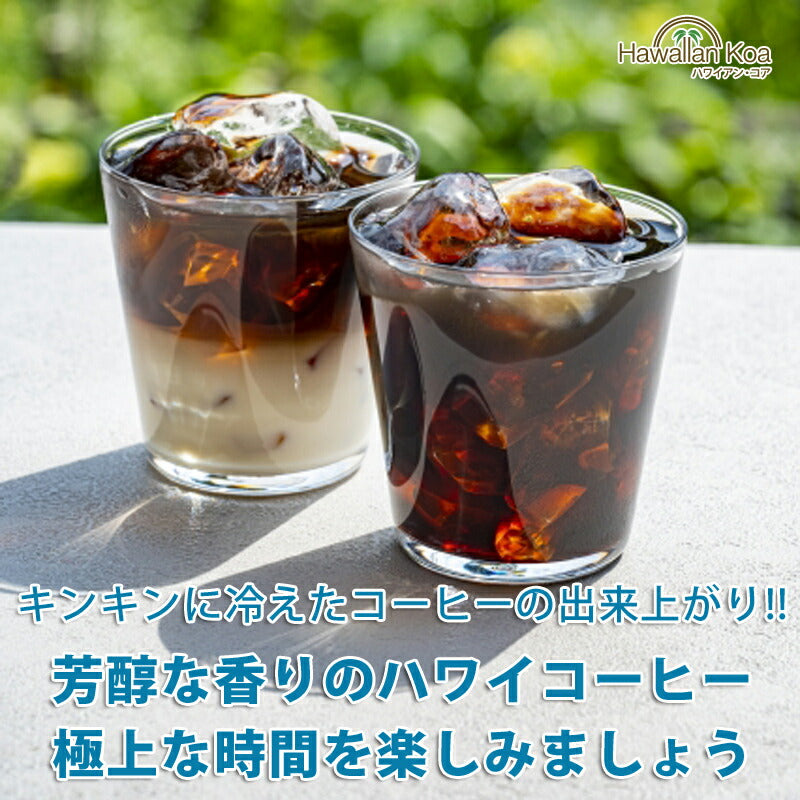 ライオンコーヒー 水出しコーヒー ボトル セット アイスコーヒー ホット ドリップ フレーバーコーヒー 送料無料 水出しアイスコーヒー