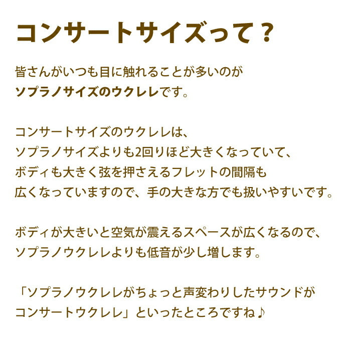 ウクレレ 初心者セット 入門セット 初心者 セット 厳選6点 コンサート