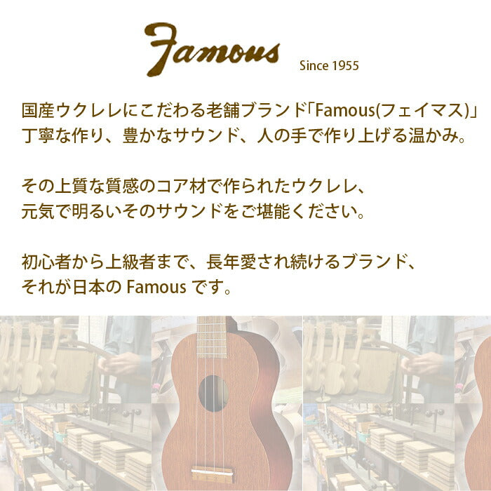 ウクレレ 初心者セット famous FS-5G フェイマス ハワイアンコア