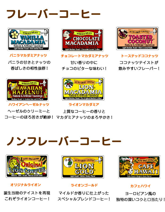 ライオンコーヒー 水出しコーヒー ボトル セット アイスコーヒー ホット ドリップ フレーバーコーヒー 送料無料 水出しアイスコーヒー