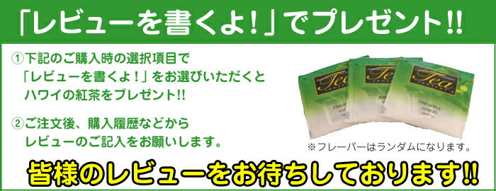 ハワイの紅茶 パッションフルーツ・ナ・パリ 20ティーバッグ 2箱セット フレーバーティー アイスティー hawaiian island tea